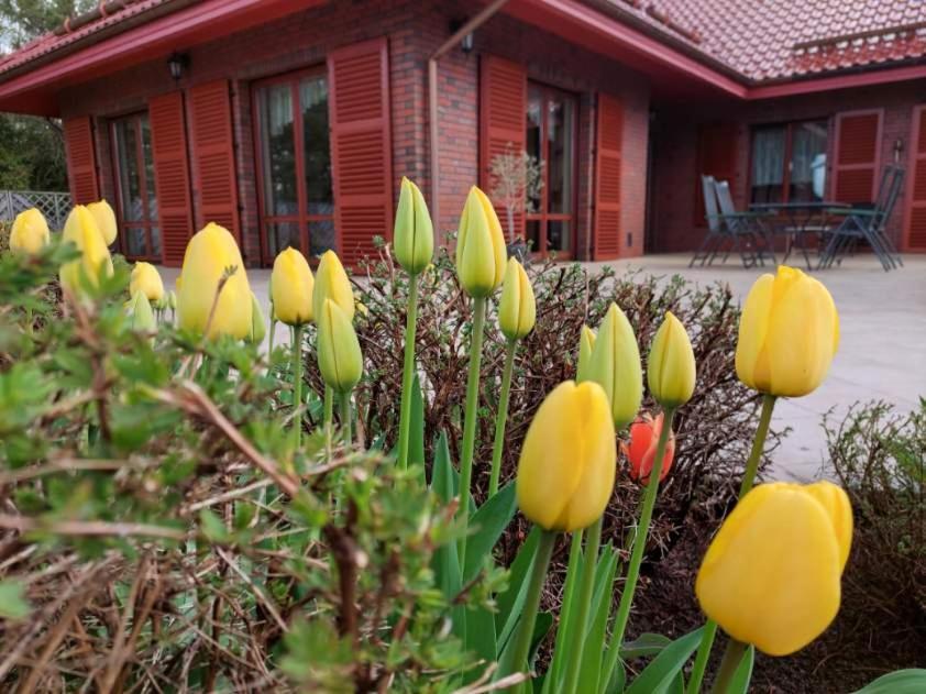Port Jeziorak Bed & Breakfast Ilawa Ngoại thất bức ảnh